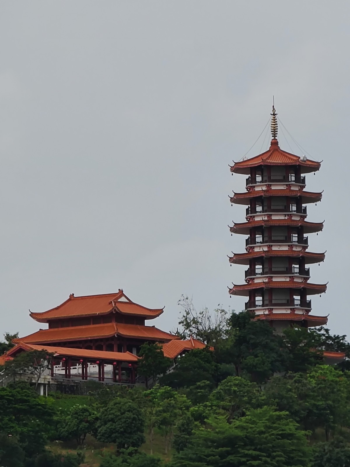 小米11U手机拍摄的点点滴滴