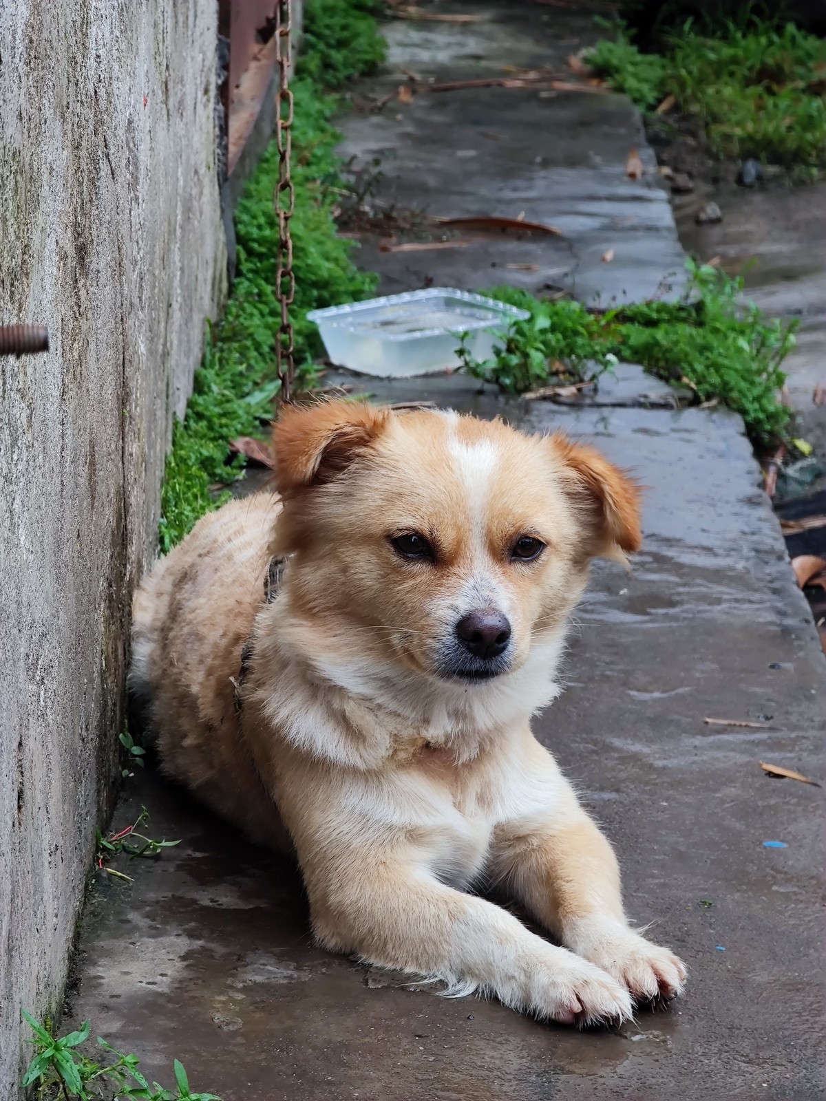 小米11U手机拍摄的点点滴滴