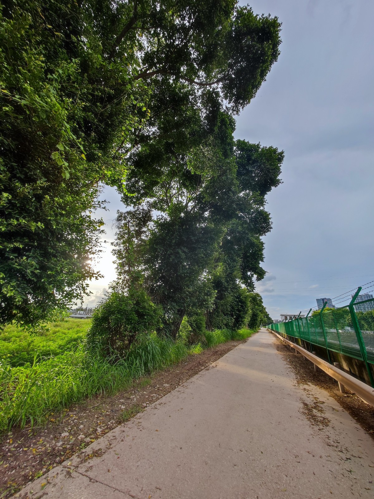 小米11U手机拍摄的点点滴滴