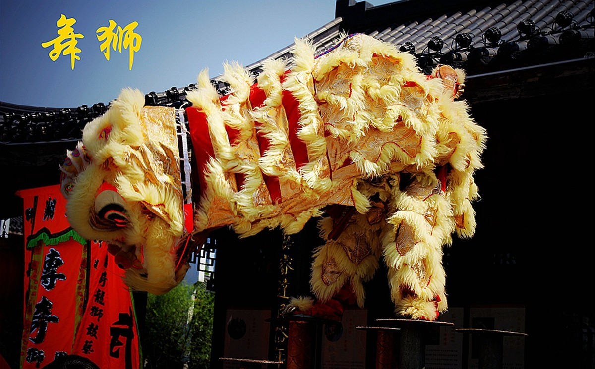 #2023不一样的春节#---舞狮