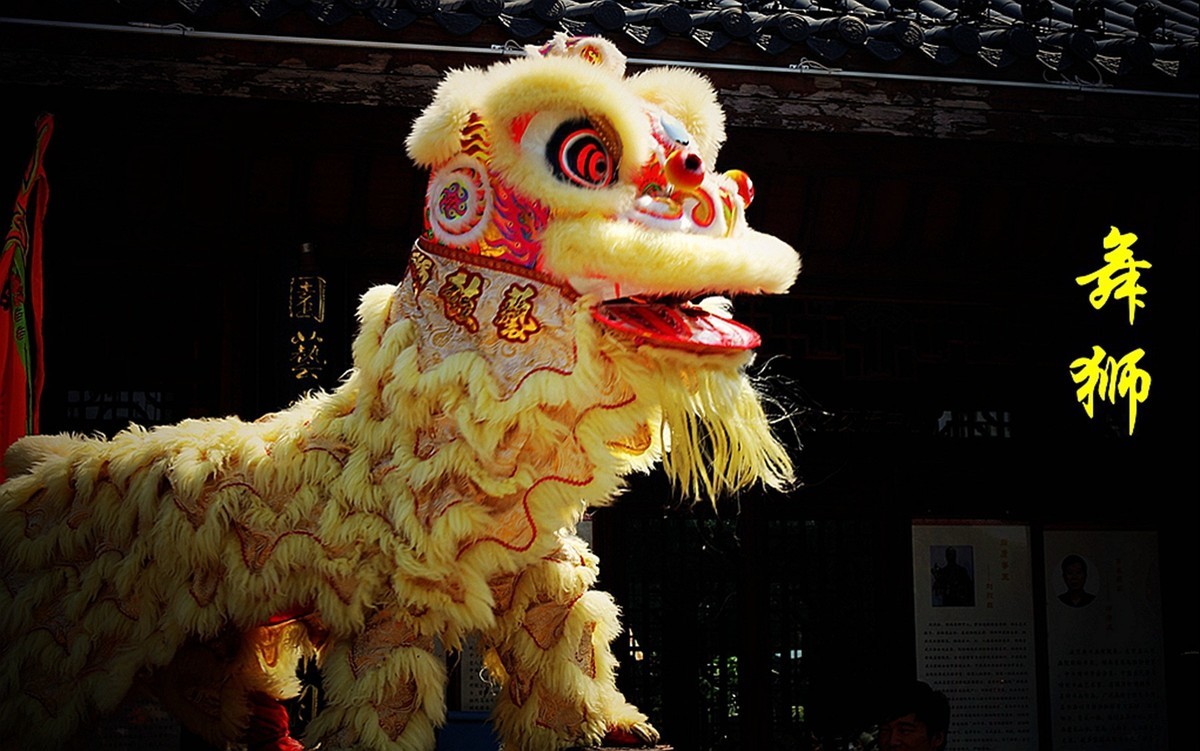 #2023不一样的春节#---舞狮