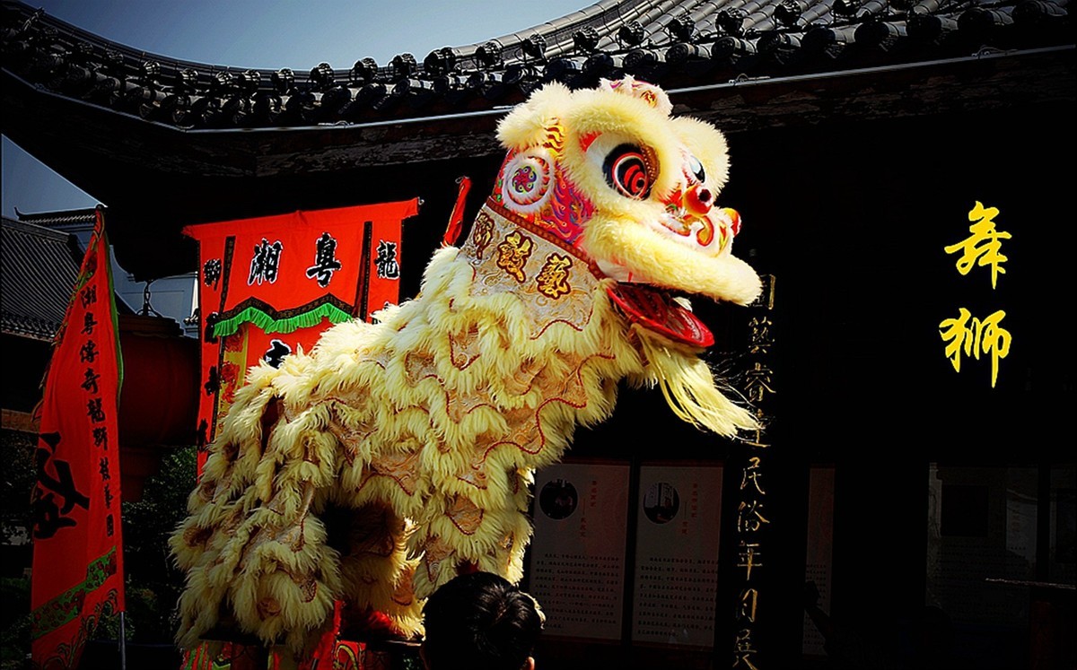 #2023不一样的春节#---舞狮