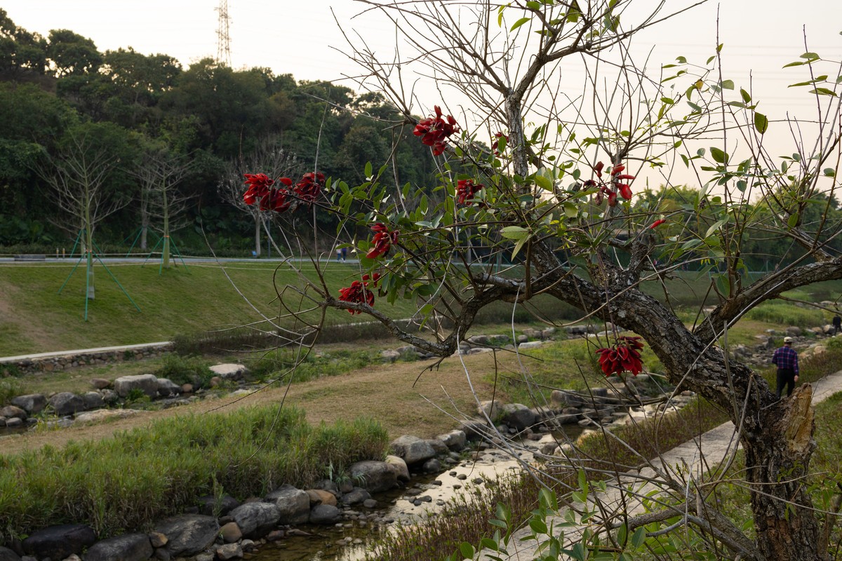 CANON RP山系玩乐篇