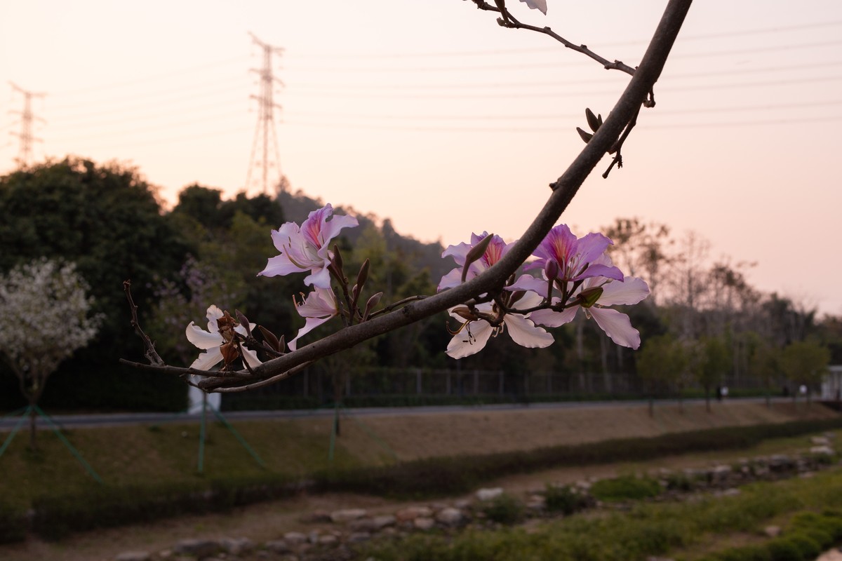 CANON RP山系玩乐篇