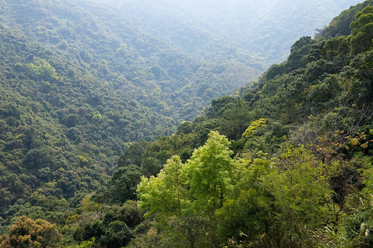 CANON RP山系玩乐篇