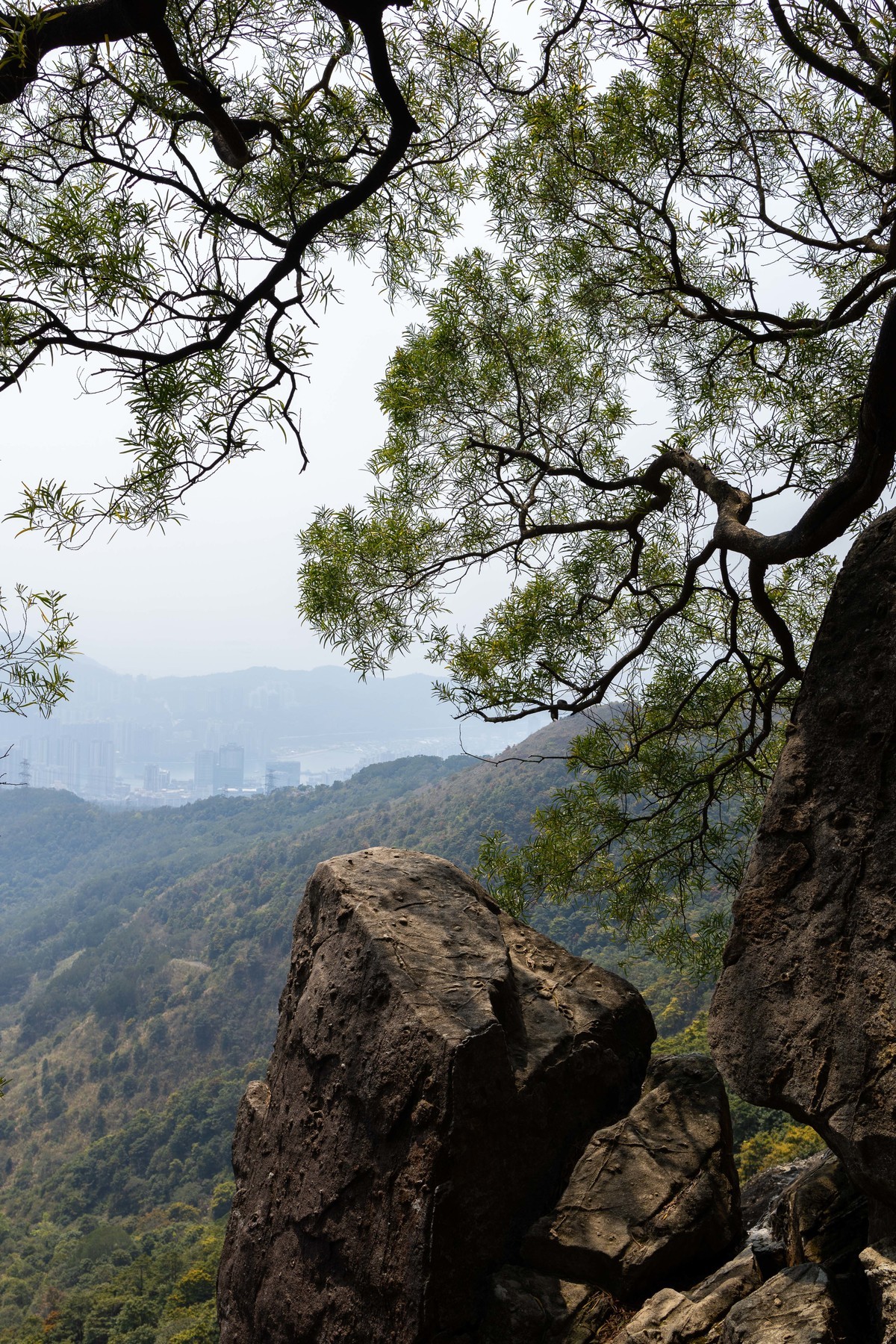 CANON RP山系玩乐篇