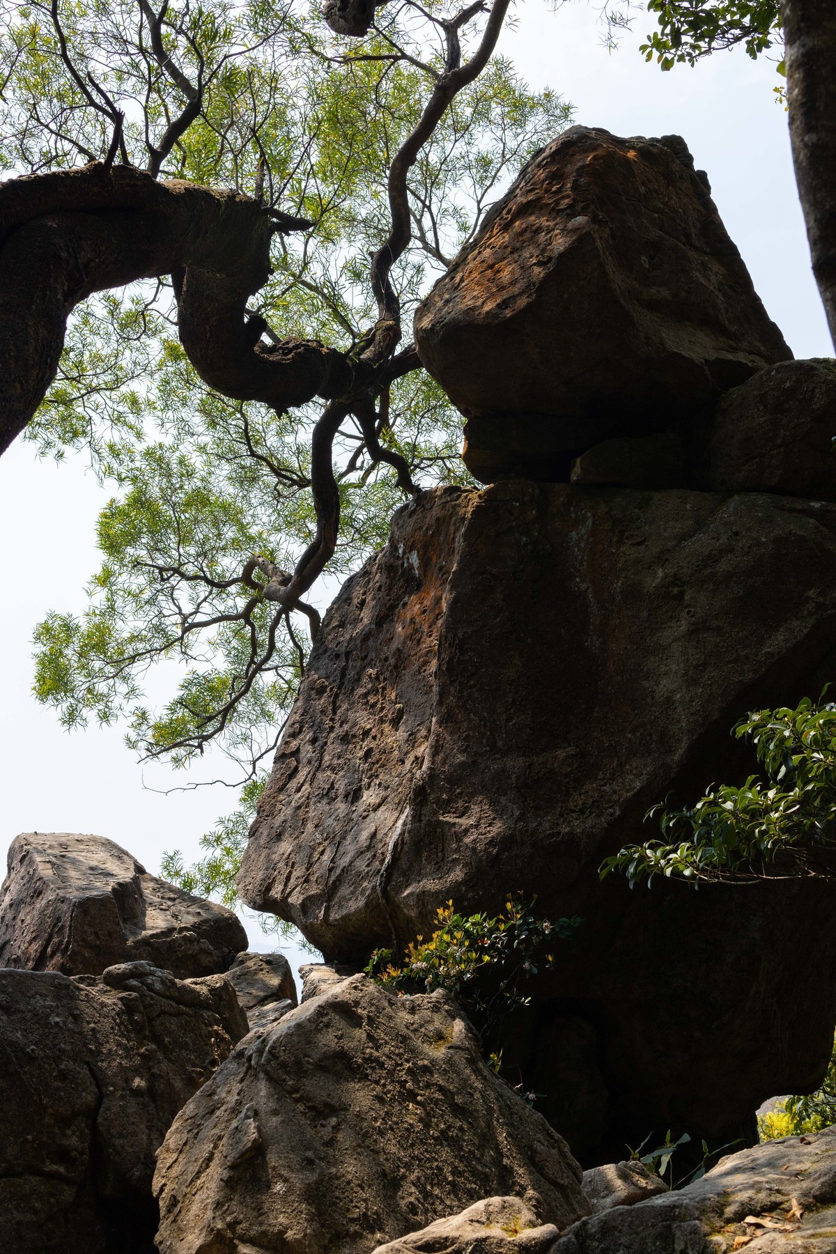 CANON RP山系玩乐篇