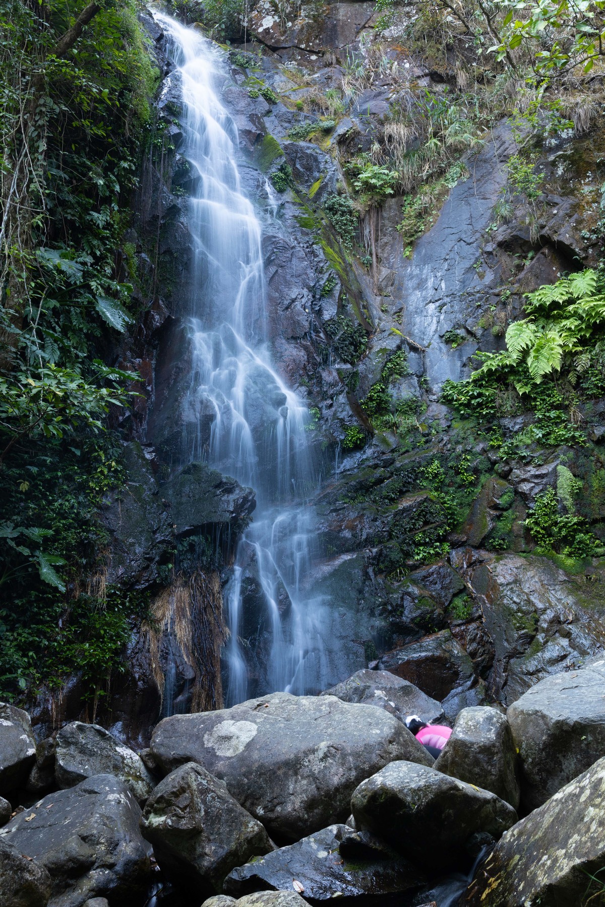 CANON RP山系玩乐篇