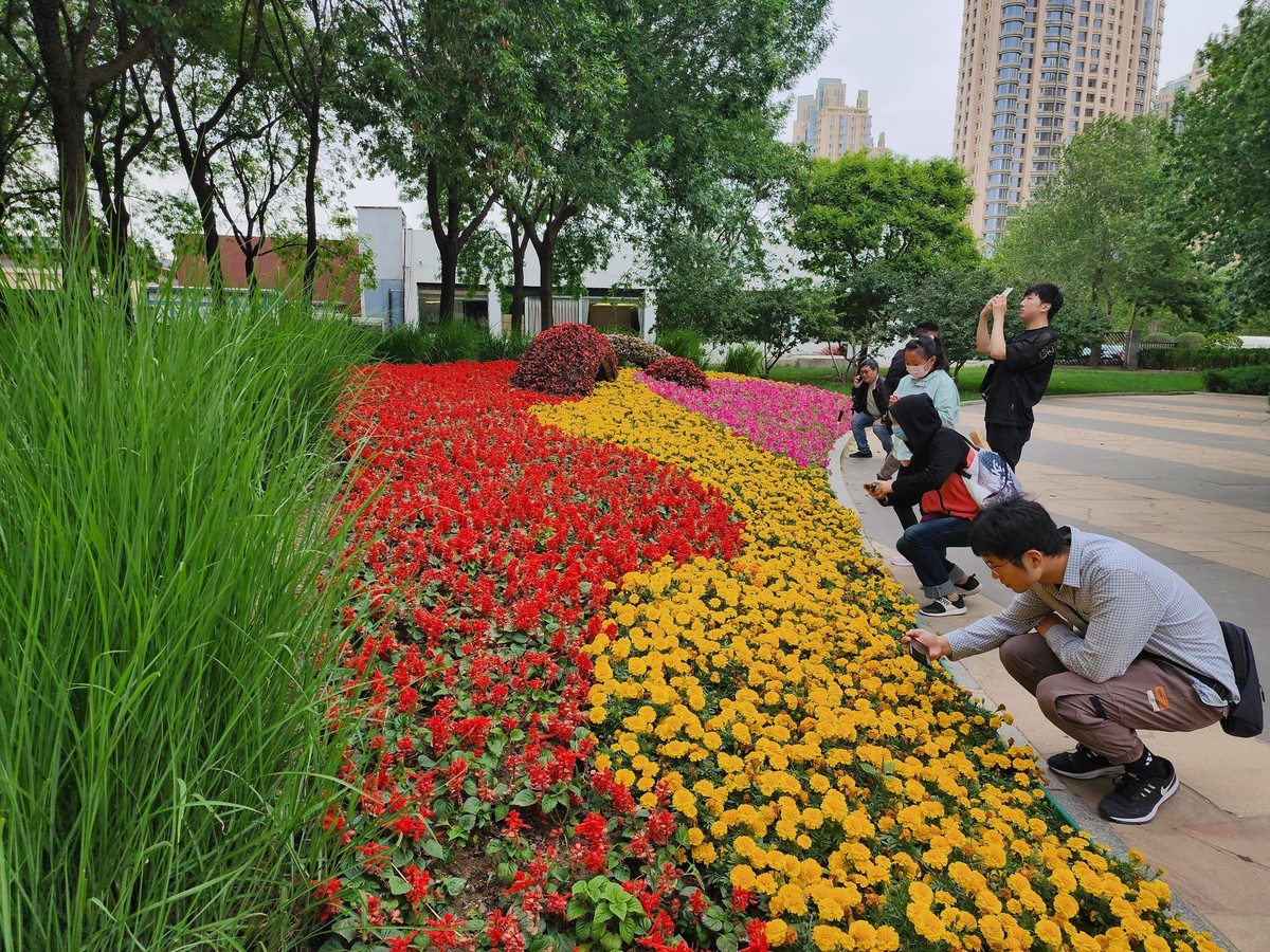 #春末夏初#花红柳绿风光好