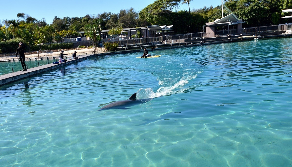 澳大利亚的黄金海岸   5/6