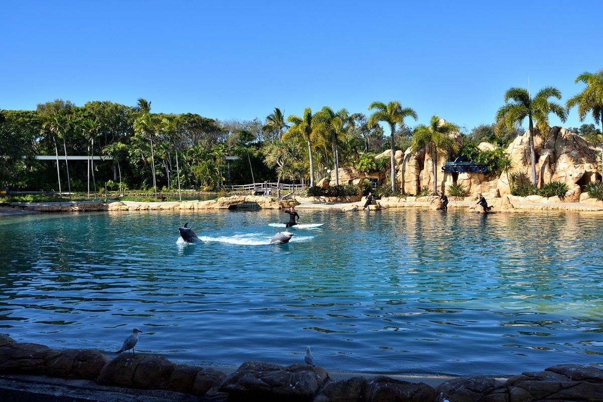 澳大利亚的黄金海岸   5/6