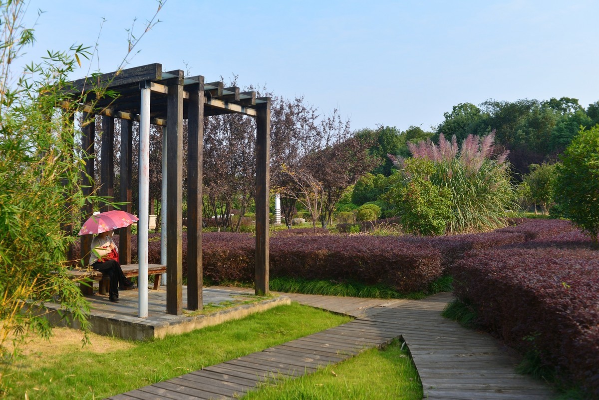 秋游湿地大阳垾公园