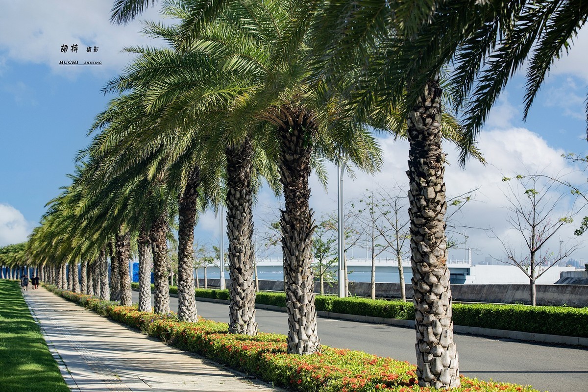 海花岛掠影（1）