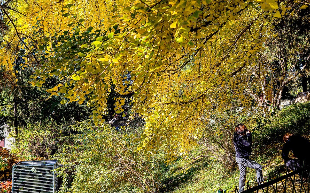 手机游拍20241105《27》