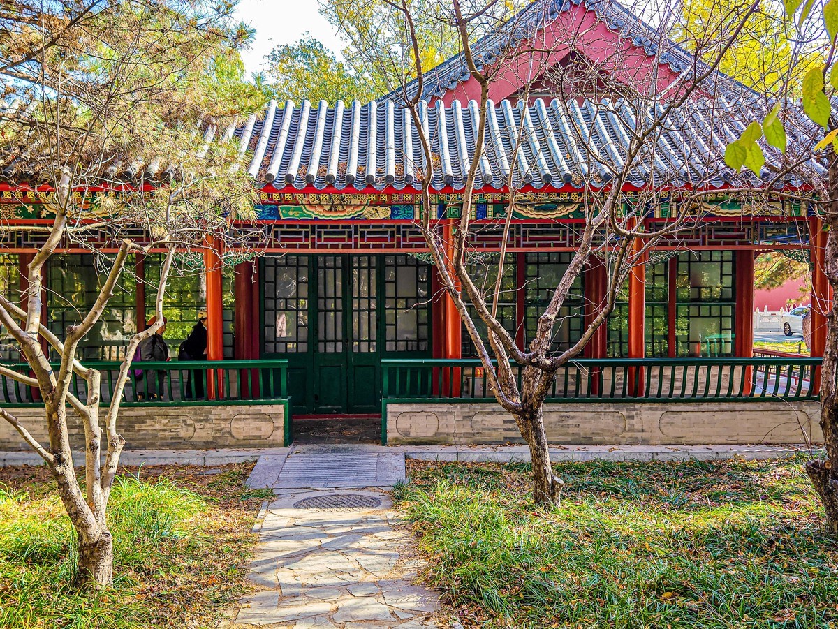 手机游拍20241105《27》