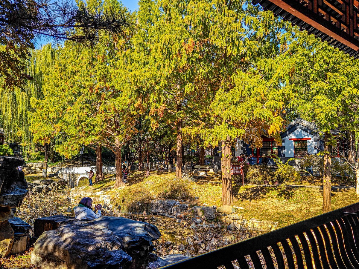 手机游拍20241105《27》