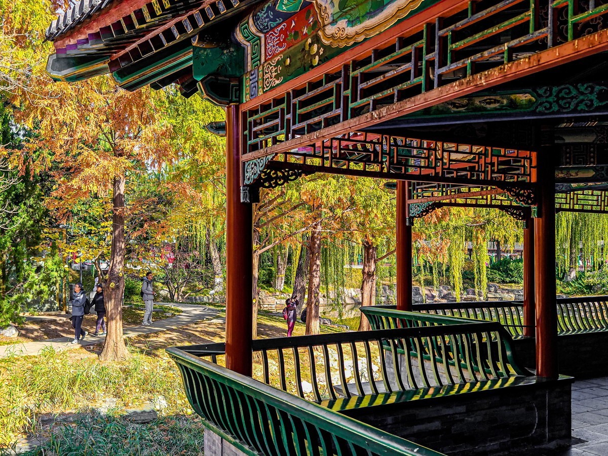 手机游拍20241105《27》