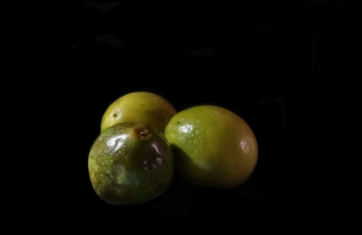 水果      5