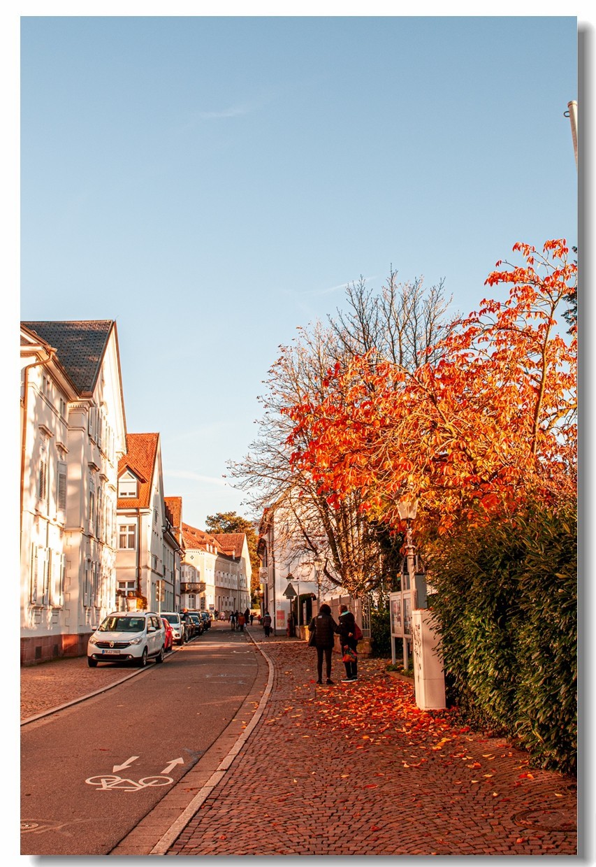 赤色深秋（南德）