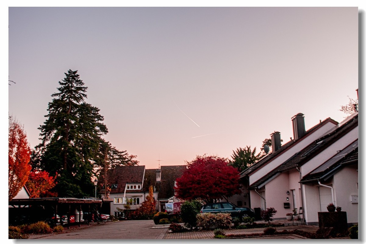 赤色深秋（南德）