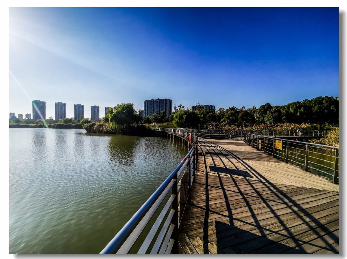 小区绿野（上海南翔）