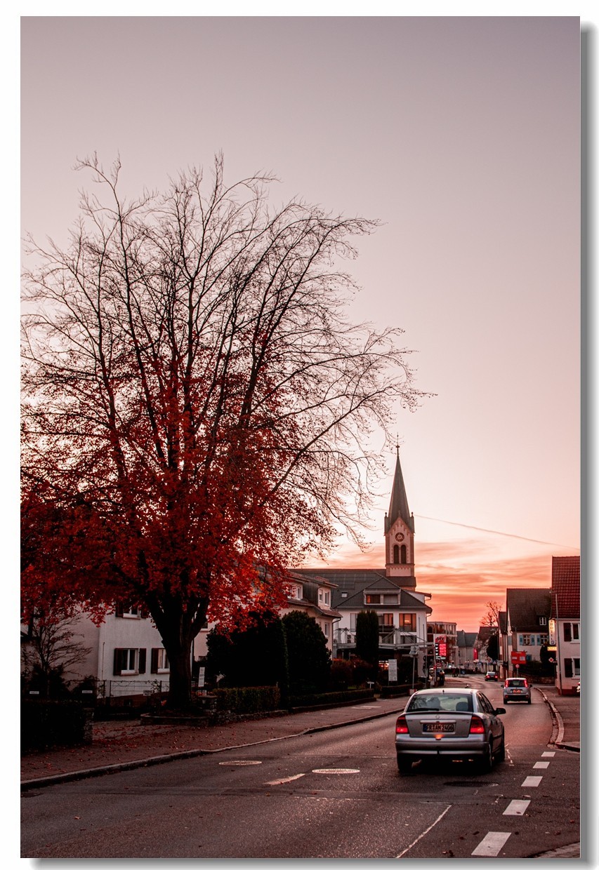 赤色深秋（南德）