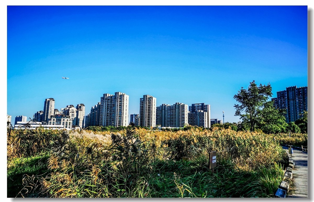 小区绿野（上海南翔）