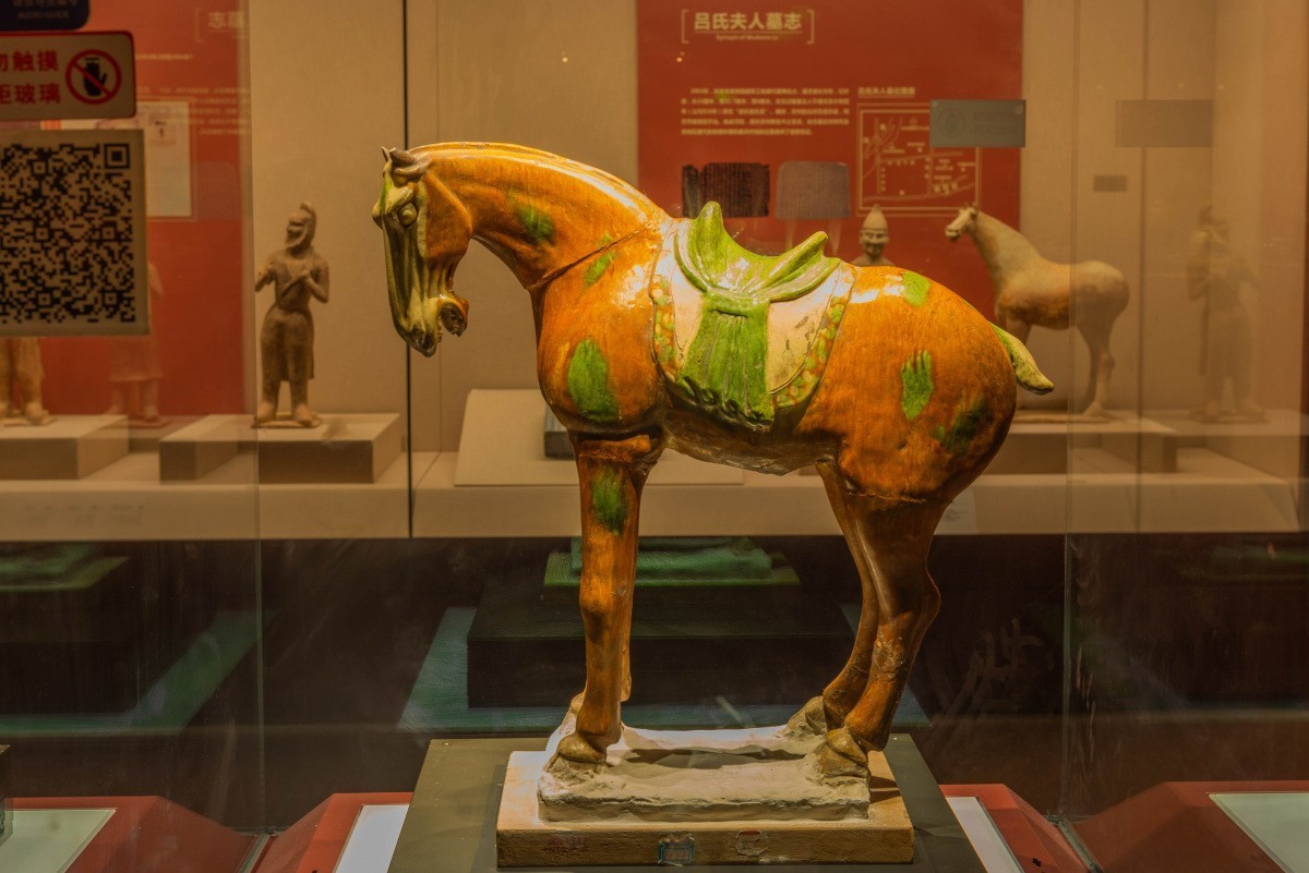 20240626宁夏博物馆