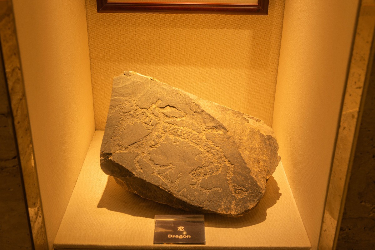 20240626宁夏博物馆