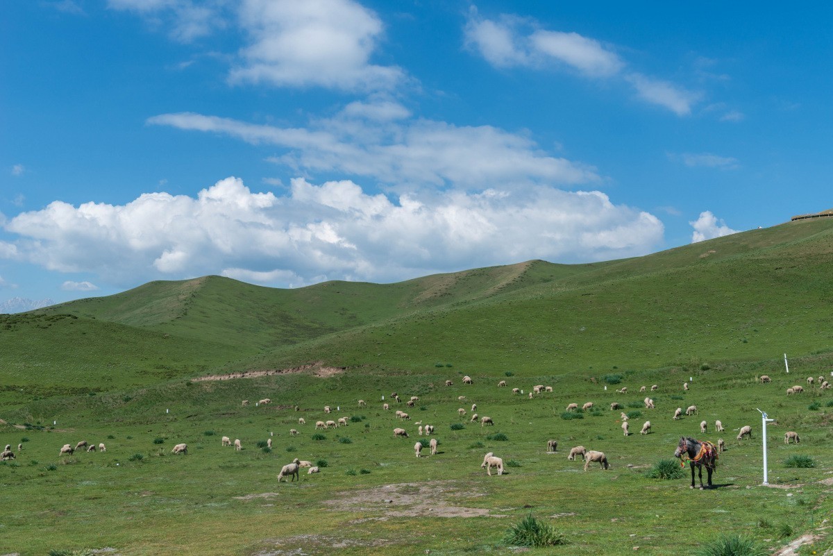 20240703乌鞘岭、白塔寺