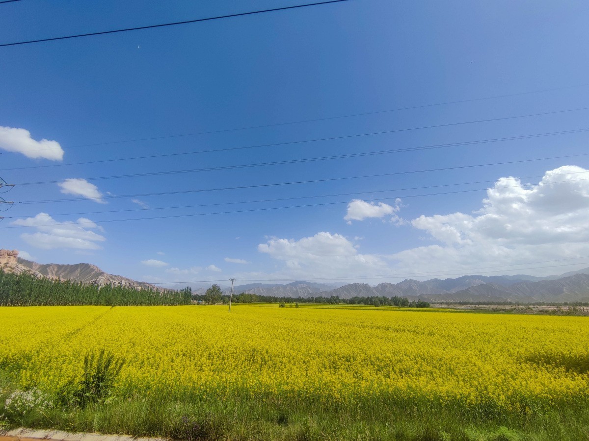 20240711格尔木、香日德寺、挝卓依垭口