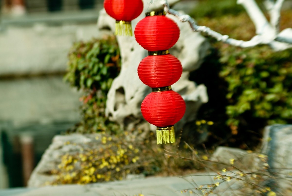 明湖夏雨荷——特写（试镜）