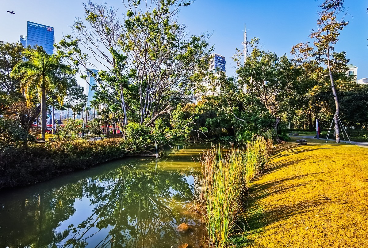 深圳香密公园掠影 （外出采风，向老师、好友告假。）