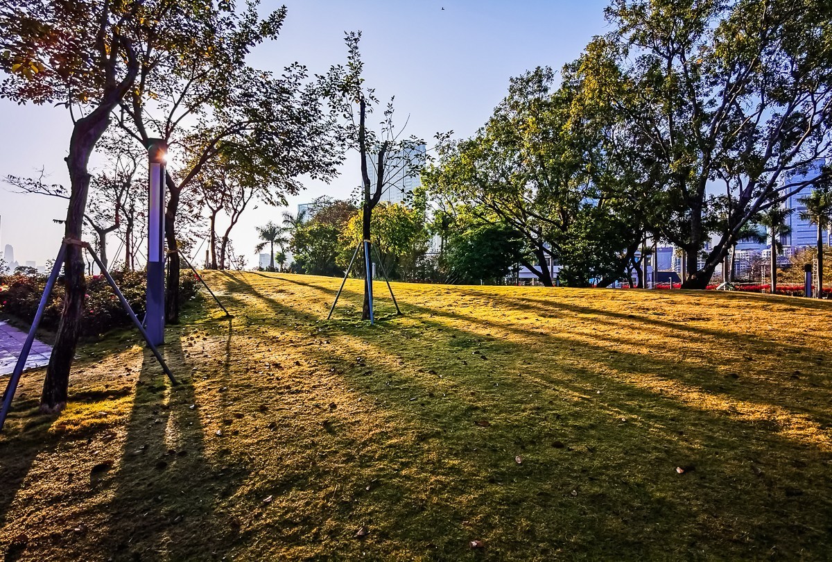 深圳香密公园掠影 （外出采风，向老师、好友告假。）