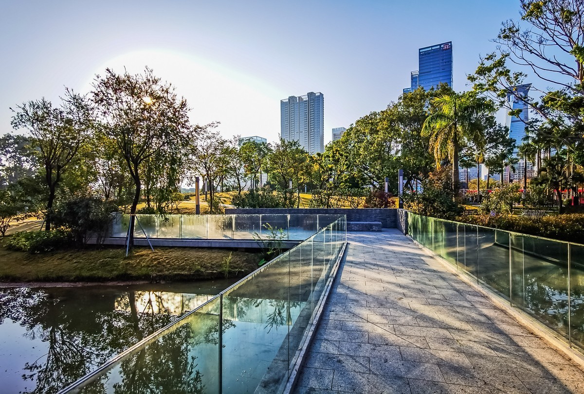 深圳香密公园掠影 （外出采风，向老师、好友告假。）