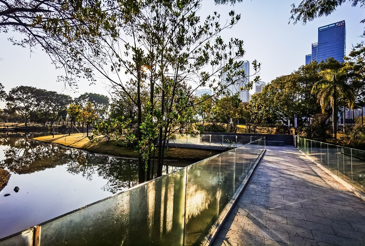 深圳香密公园掠影 （外出采风，向老师、好友告假。）