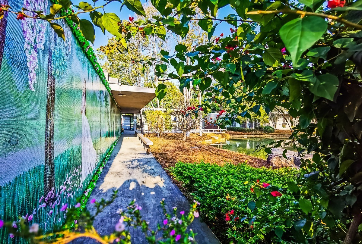 深圳香密公园掠影 （外出采风，向老师、好友告假。）