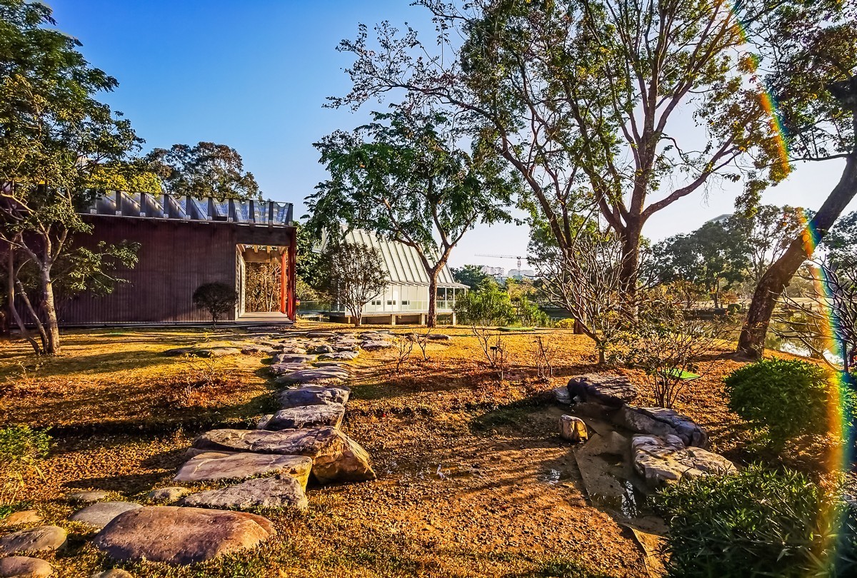 深圳香密公园掠影 （外出采风，向老师、好友告假。）