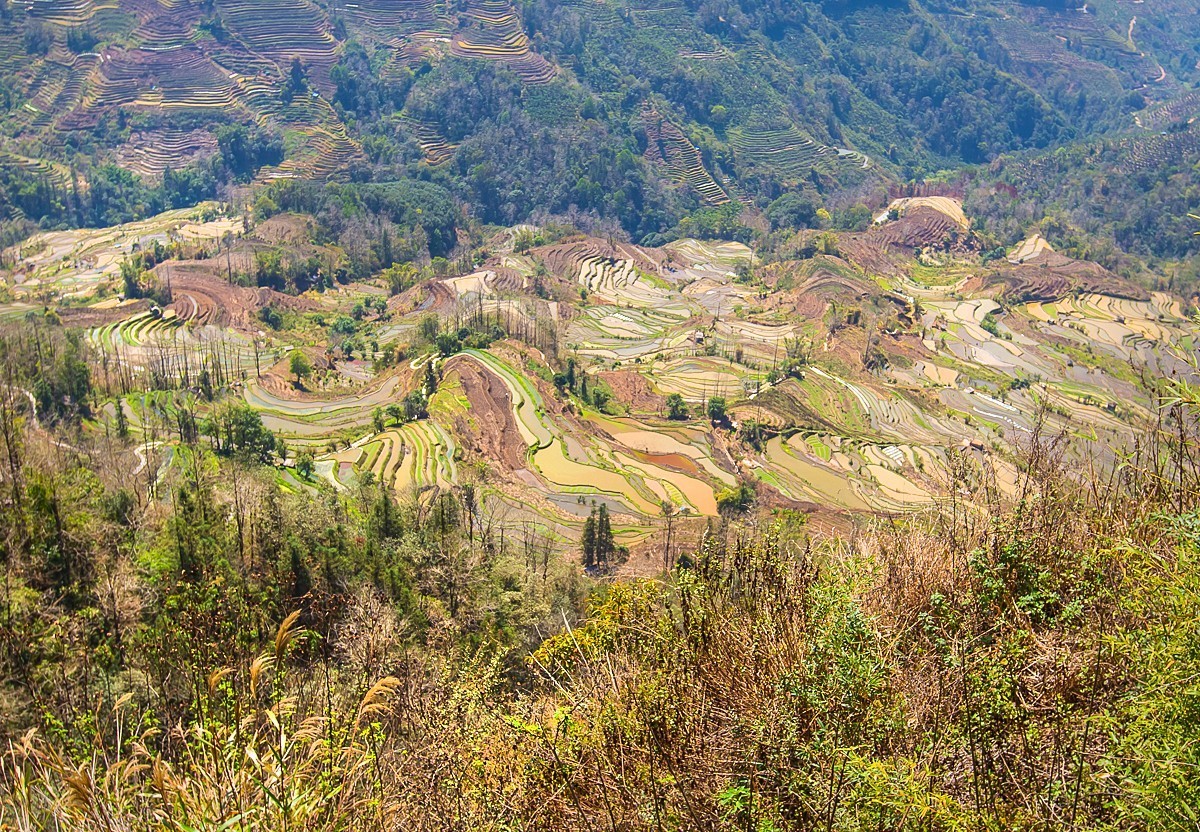 2025-04-21云南元阳老虎嘴梯田（一）