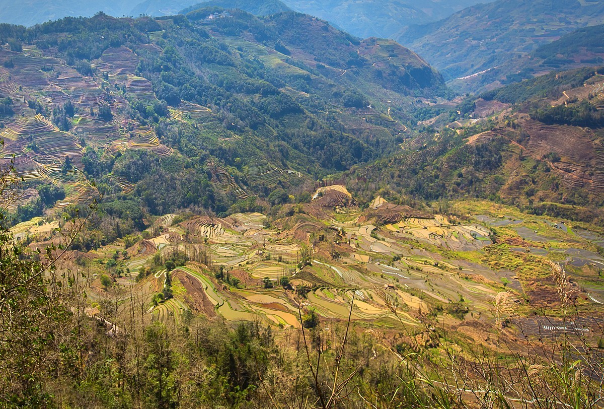 2025-04-21云南元阳老虎嘴梯田（一）