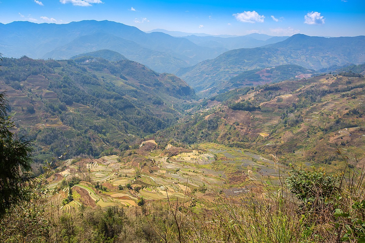 2025-04-21云南元阳老虎嘴梯田（一）