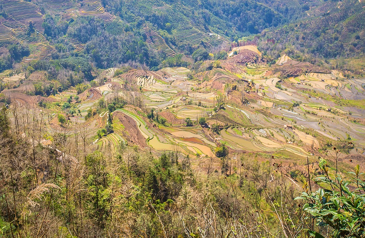 2025-04-21云南元阳老虎嘴梯田（一）