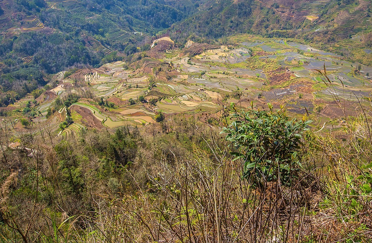 2025-04-21云南元阳老虎嘴梯田（一）