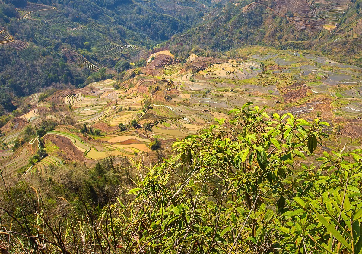 2025-04-21云南元阳老虎嘴梯田（一）