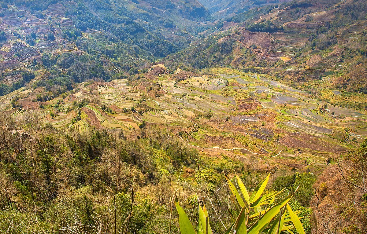 2025-04-21云南元阳老虎嘴梯田（一）