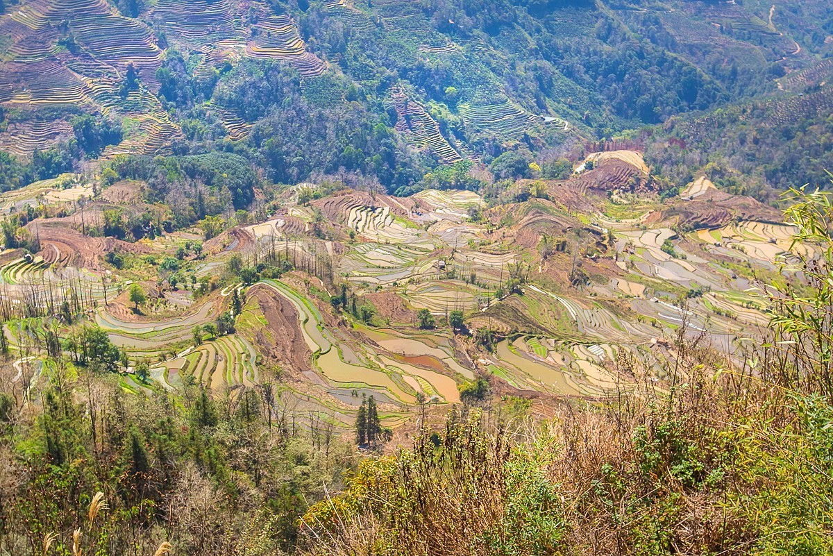 2025-04-21云南元阳老虎嘴梯田（一）