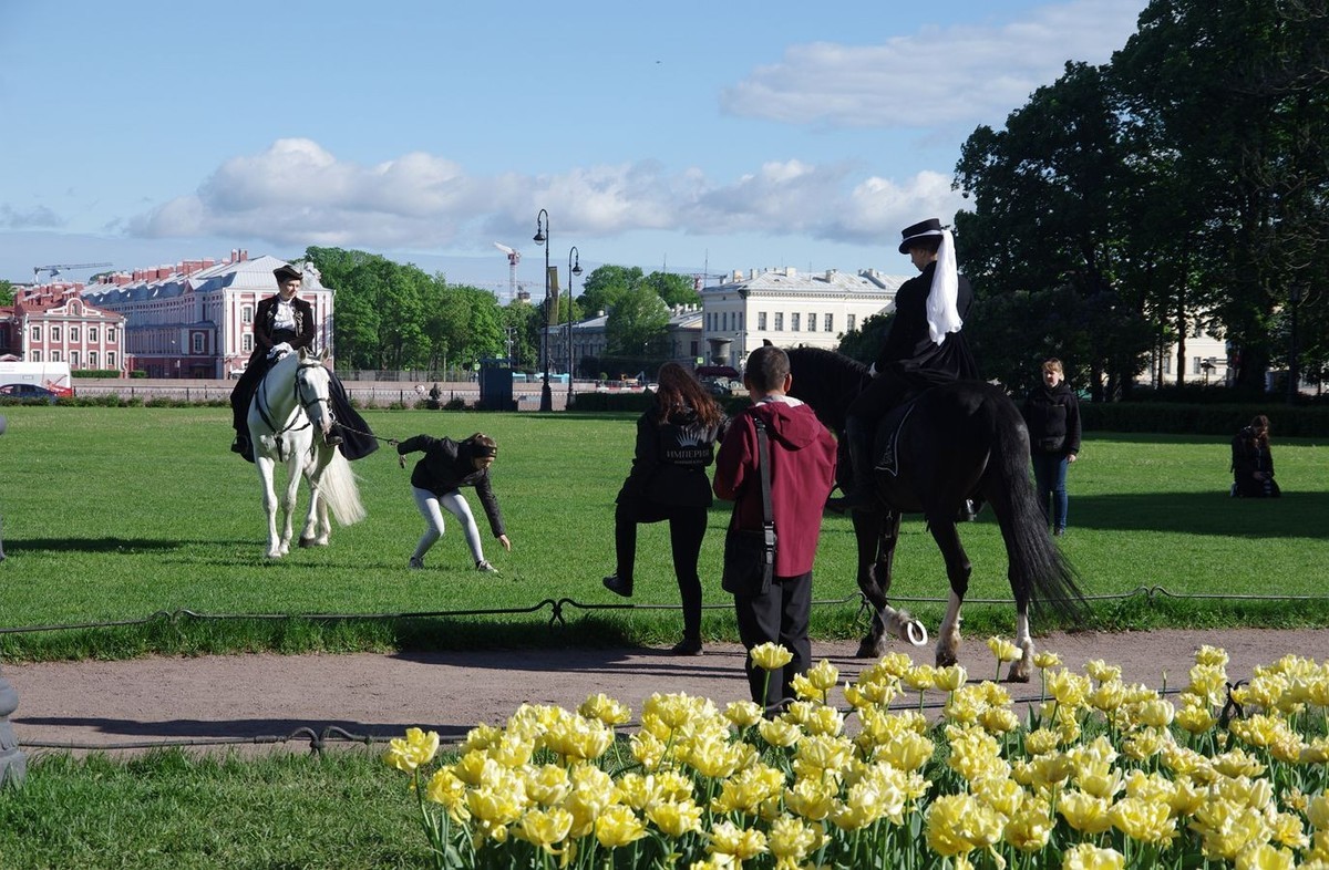 圣彼得堡伊萨基耶夫大教堂外景