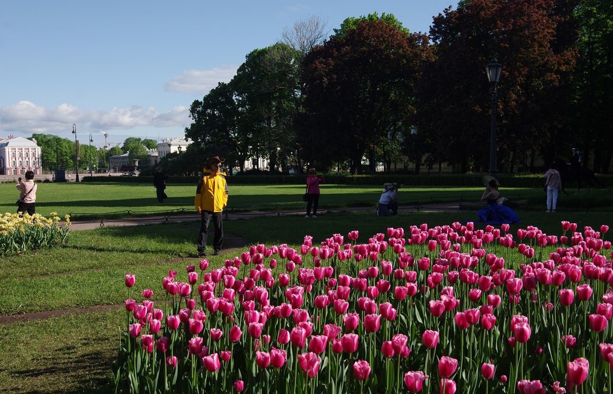 圣彼得堡伊萨基耶夫大教堂外景