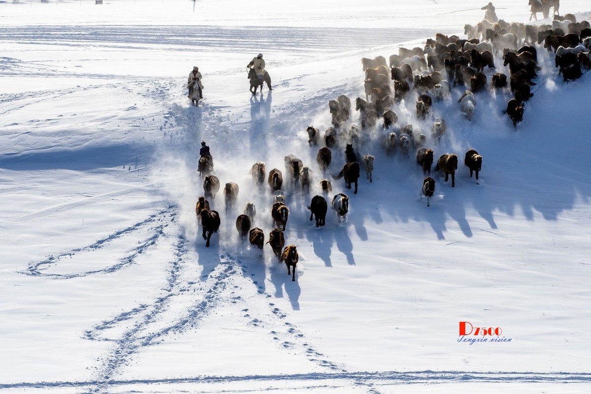 策马奔腾（77）