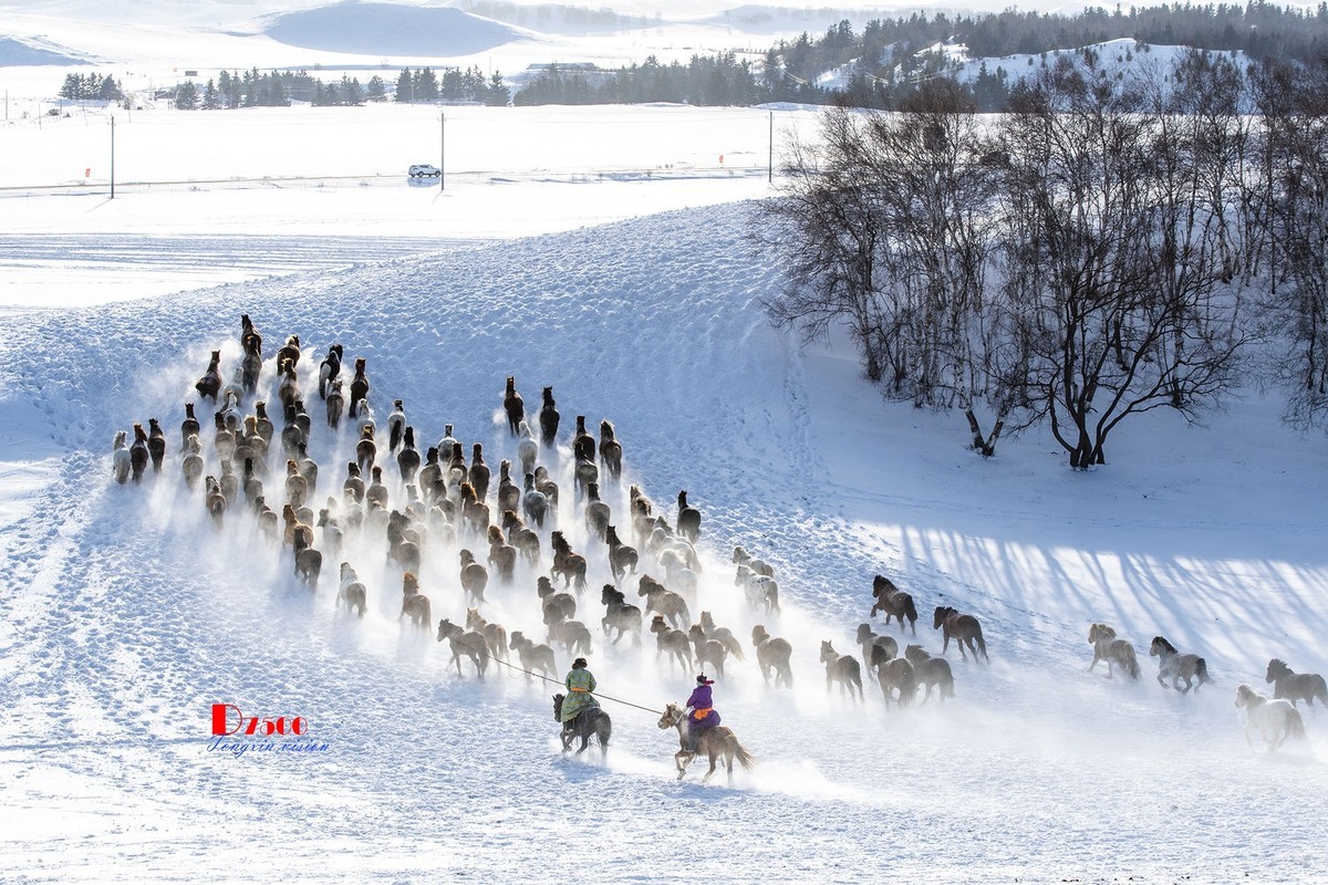 策马奔腾（77）